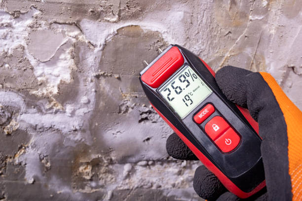 Best Office Mold Removal Services  in Metairie, LA