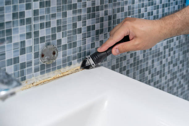 Best Residential Mold Removal  in Metairie, LA